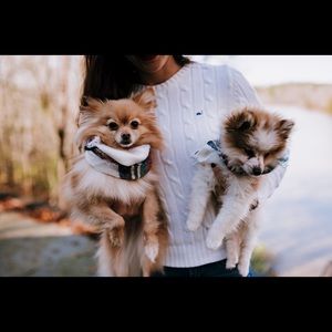 White XS Vineyard Vines sweater.